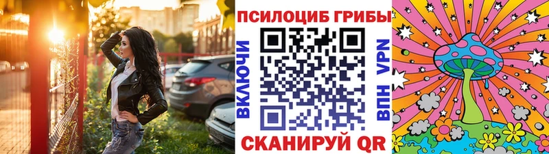 Галлюциногенные грибы Cubensis  Волоколамск 